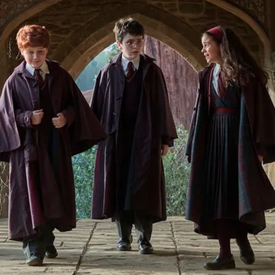 Harry Potter prépare déjà sa saison 2 : HBO trouve Dobby, Tom Riddle et change de Ginny